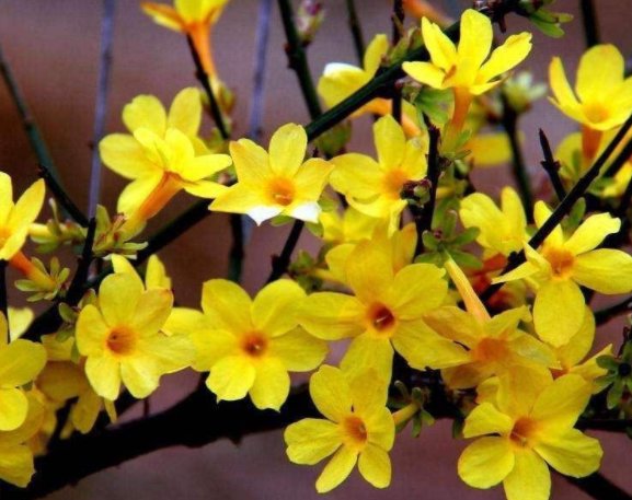 旧事归于尽下一句