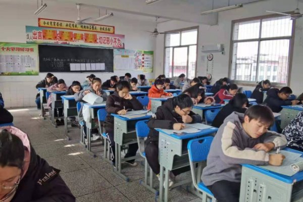 基本能力测试考什么