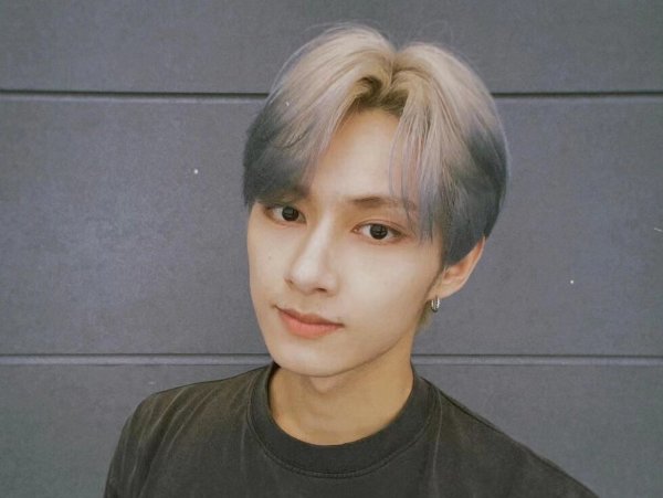 seventeen成员简介