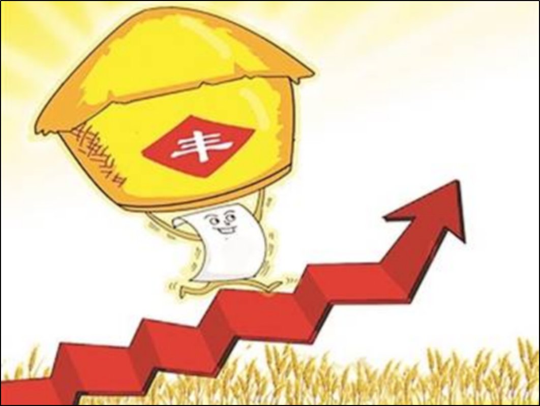 村支书谈如何壮大村集体增收