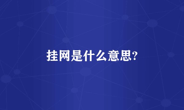挂网是什么意思?