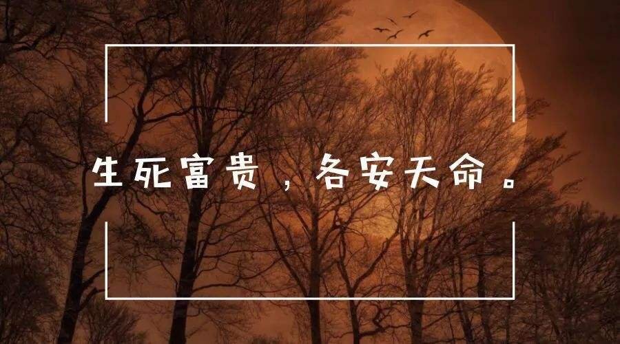 各安天命，安之若素什么意思。