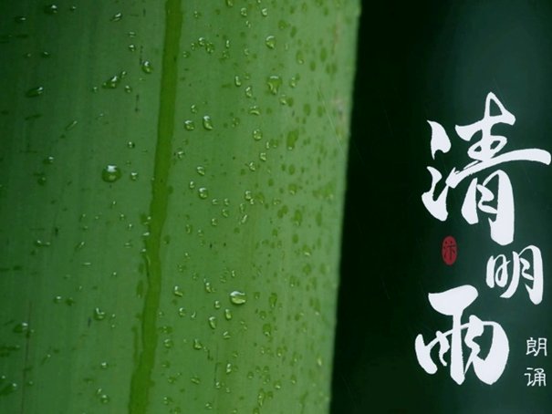 清明下雨好还是不下雨好
