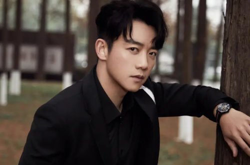 电视剧繁花主要演员