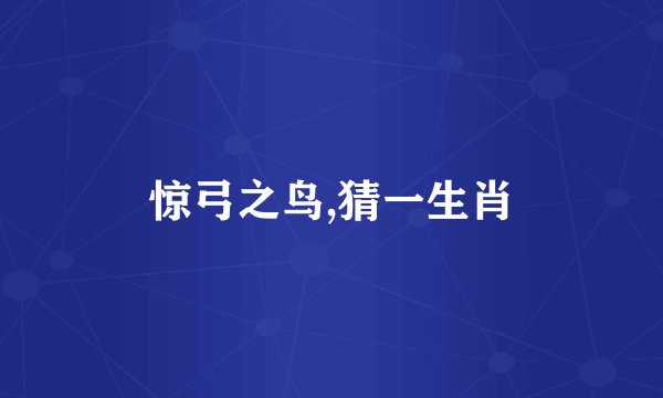 惊弓之鸟,猜一生肖