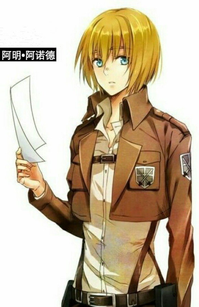 阿明·阿诺德的官方资料