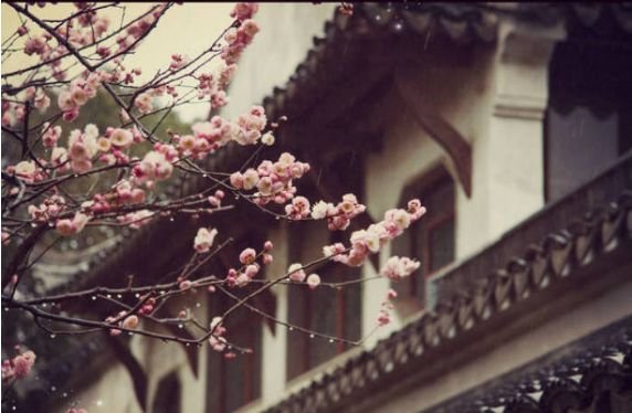 去留无意出自哪里，什么意思？