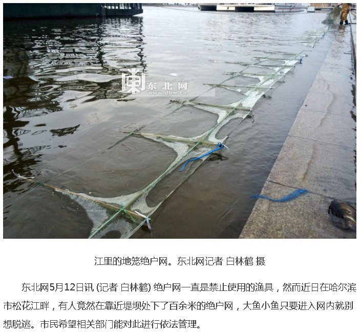 东北的地虎鱼网是什么?