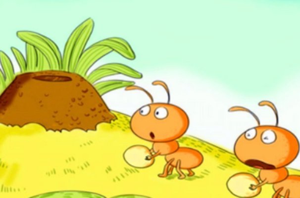 蚂蚁是怎样搬家的？