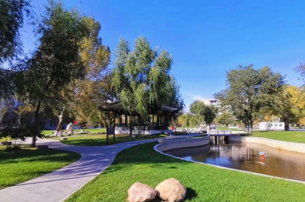 东北农业大学邮编