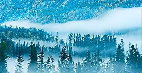 大雾漫天什么意思