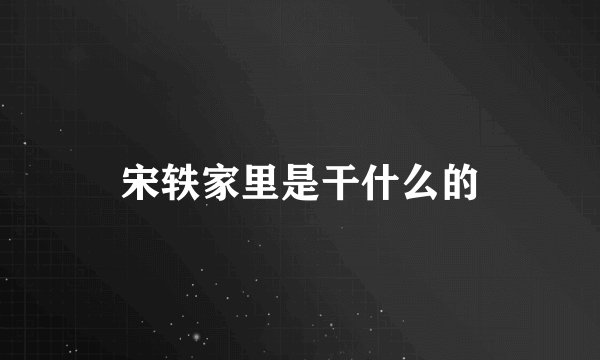 宋轶家里是干什么的