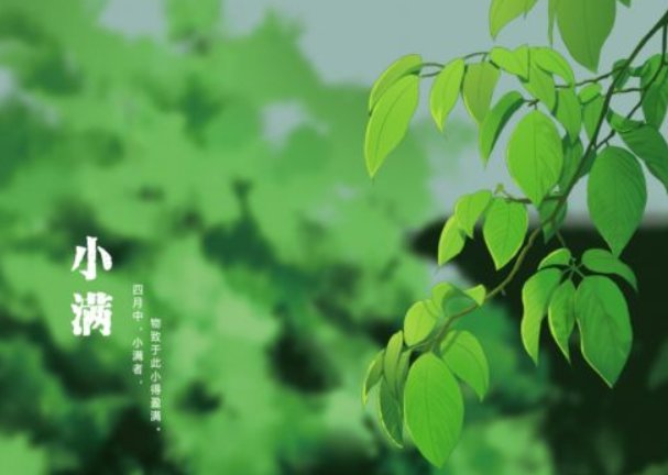 终归小满胜万全什么意思