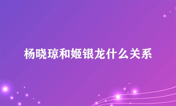 杨晓琼和姬银龙什么关系