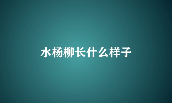 水杨柳长什么样子