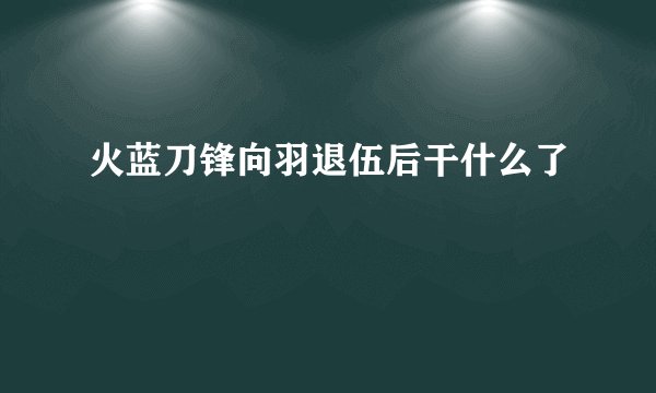 火蓝刀锋向羽退伍后干什么了