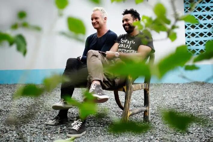 shaggy是什么意思