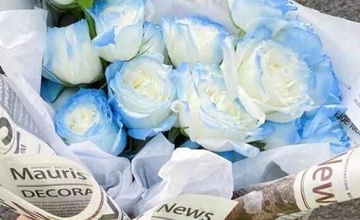 碎冰蓝适合送什么人