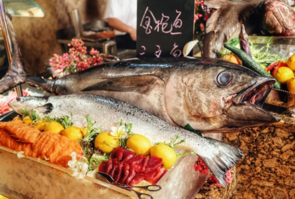 鱻读什么拼音怎么读