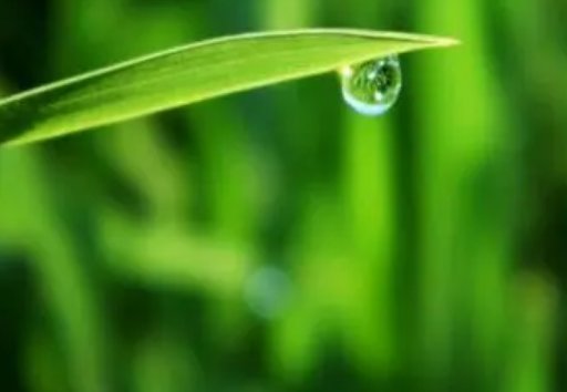 一滴水可以活多久呢？
