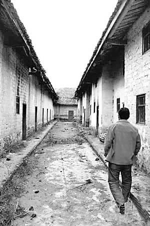 叶树养的性格特点