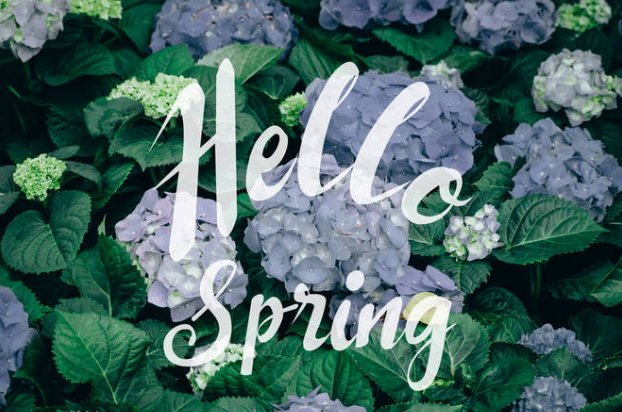 您好的拼音怎么写