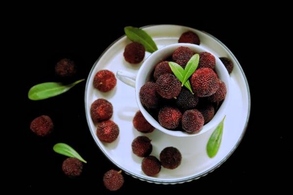 卢浮山下四时春卢橘什么次第新