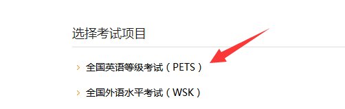 英语b级考试怎么查?