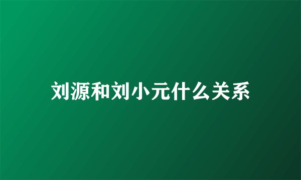 刘源和刘小元什么关系