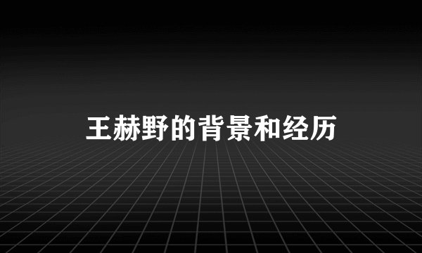 王赫野的背景和经历
