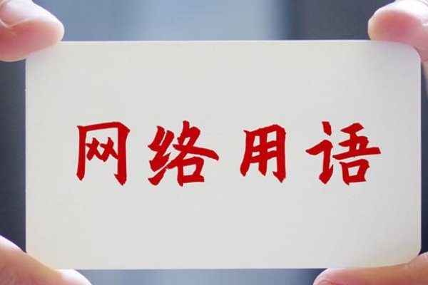 网络用语6是骂人的