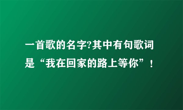 一首歌的名字?其中有句歌词是“我在回家的路上等你”！