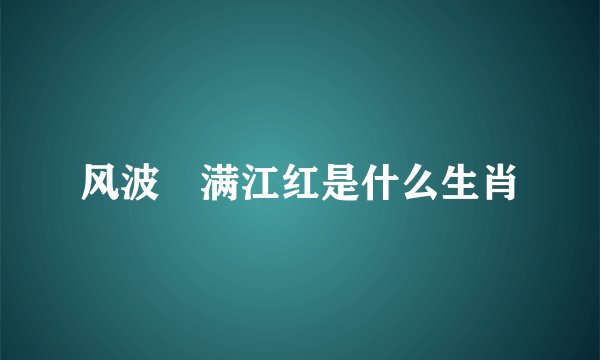 风波寜满江红是什么生肖