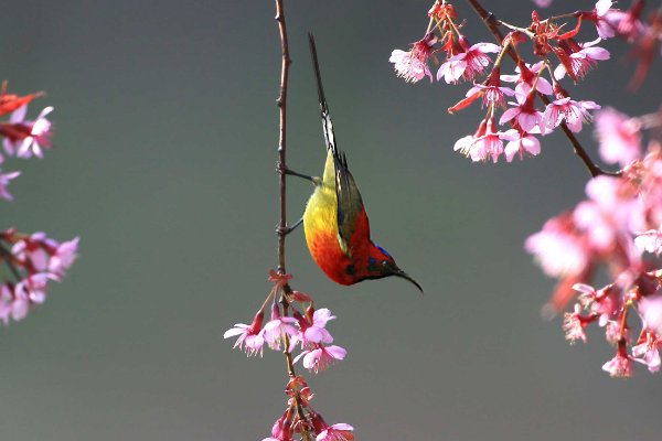 春色撩人什么意思啊