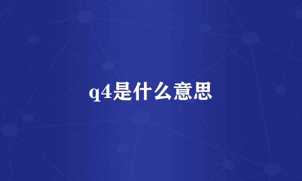 q4是什么意思