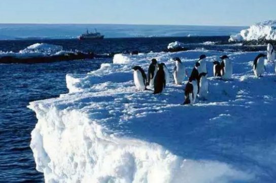 2022年北极温度现在多少度