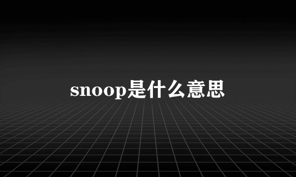 snoop是什么意思