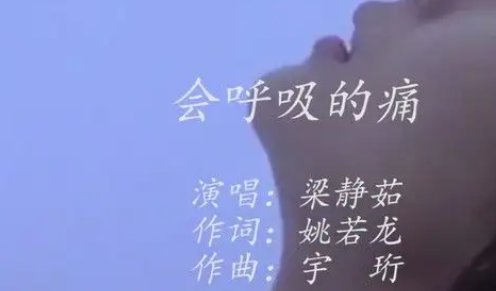 会呼吸的痛吉他谱c调