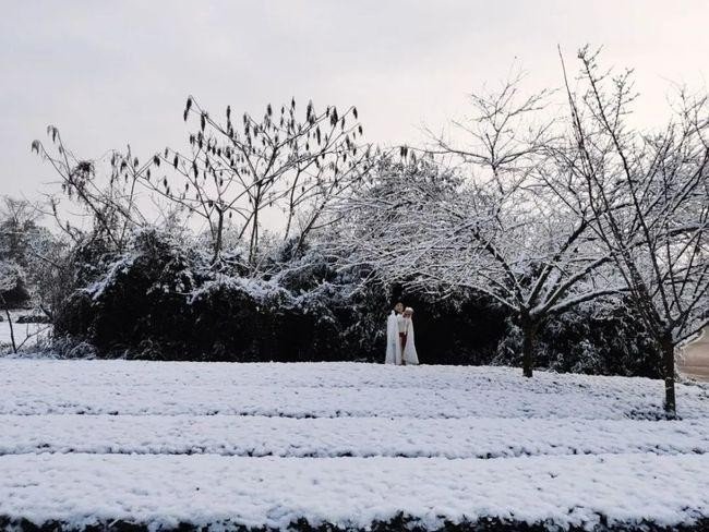 此生也算共白头诗句完整版是什么？