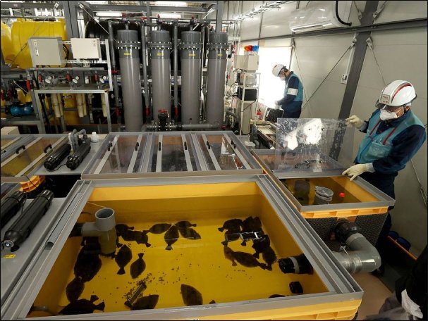 中国的核污染废水是怎么处理的