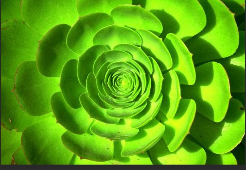 一饱眼福的意思解释