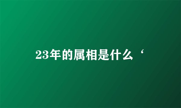 23年的属相是什么‘