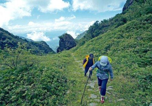 gotime是什么意思