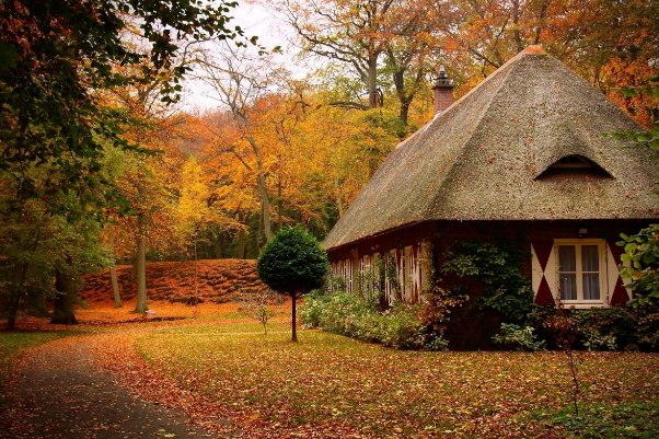 秋意是什么意思