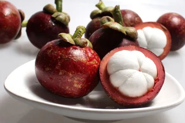 萌骑士指的是哪种水果