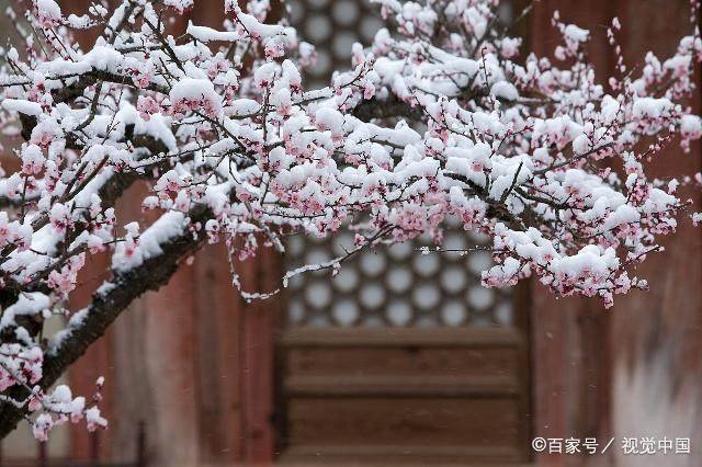 “不经一番寒彻骨 怎得梅花扑鼻香”这首古诗的题目叫什么 还要整首诗的内容？