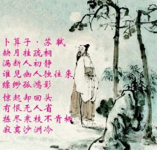 拣尽寒枝不肯栖什么意思 拣尽寒枝不肯栖原诗及翻译