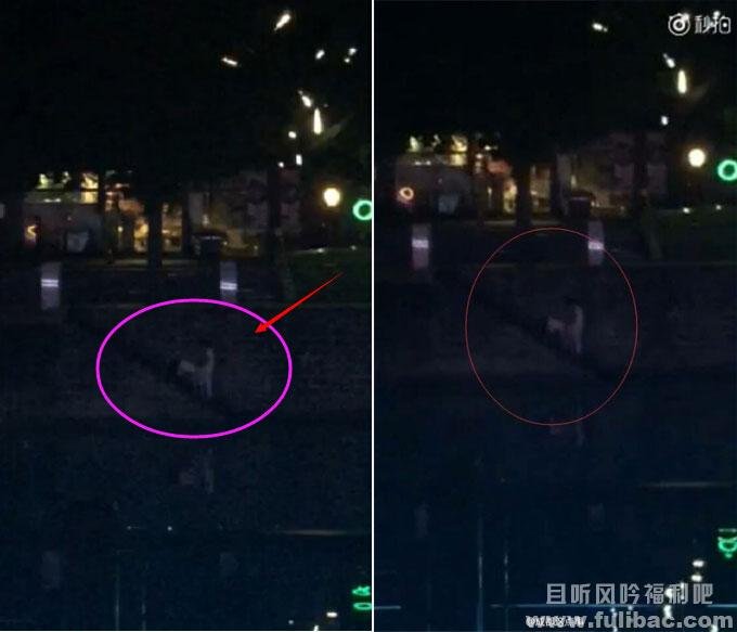 桥震门的社会影响