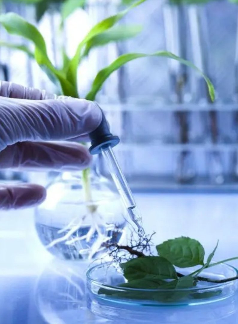 什么是研究方向