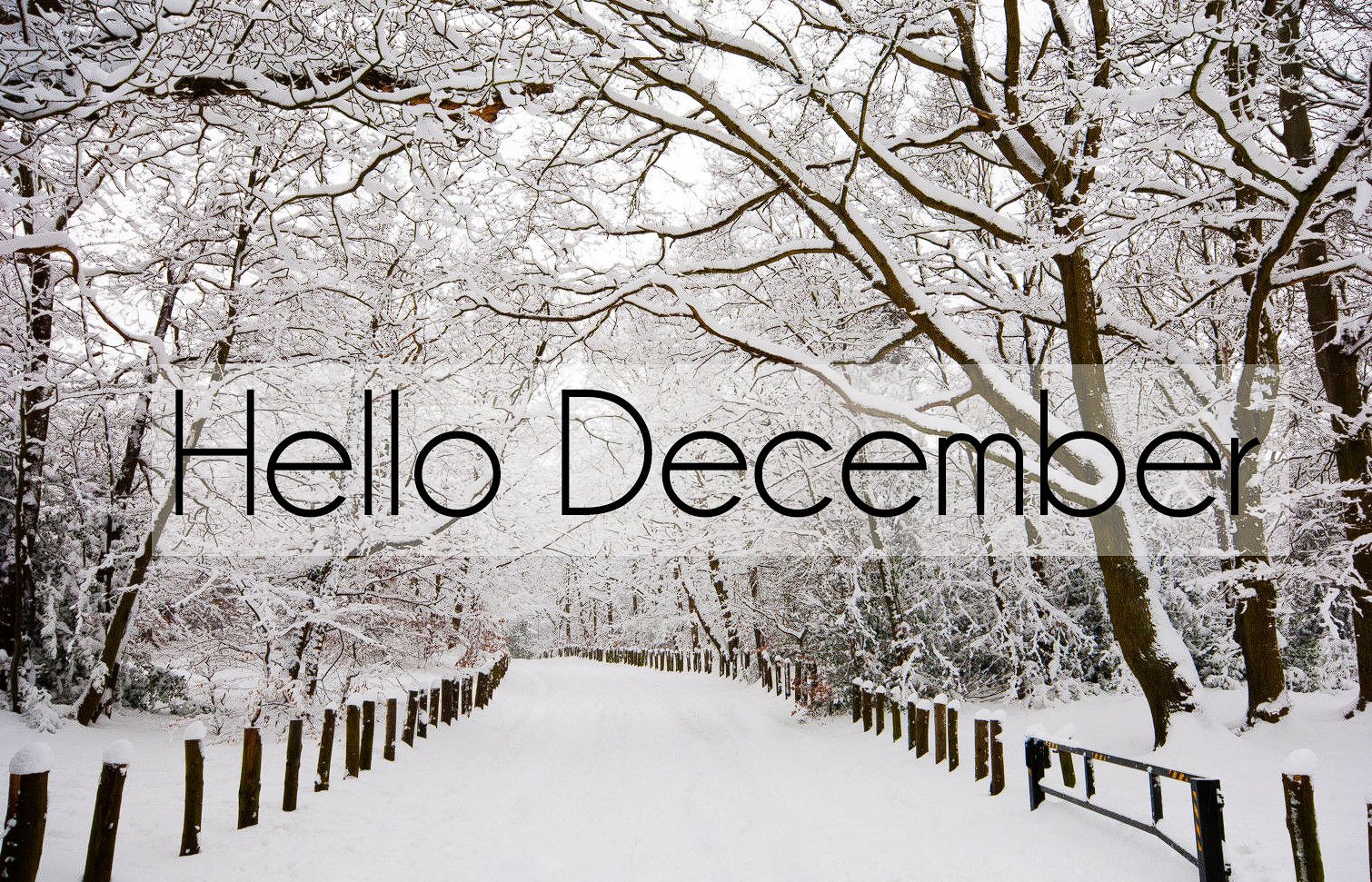 december缩写形式